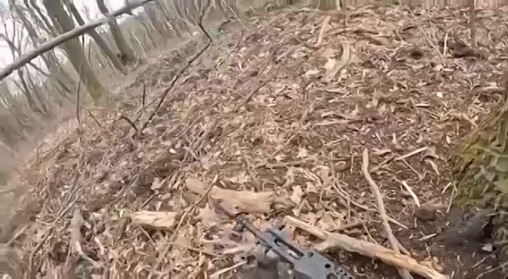 ���������� ����� �������� ����������� ���