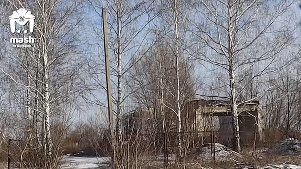 �� ���� ������ � ���������� ����� � ���, �������� ��������������� ���