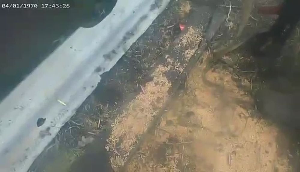 �������� ����� ���.... �� ���������� �����: