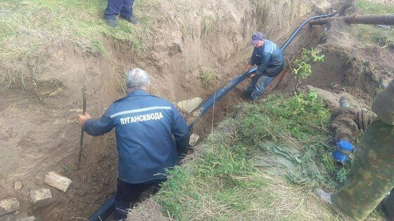 ����������� �������� ������ �� ��� �������� � ��������� ����� 120 �� ���� - "�����������"