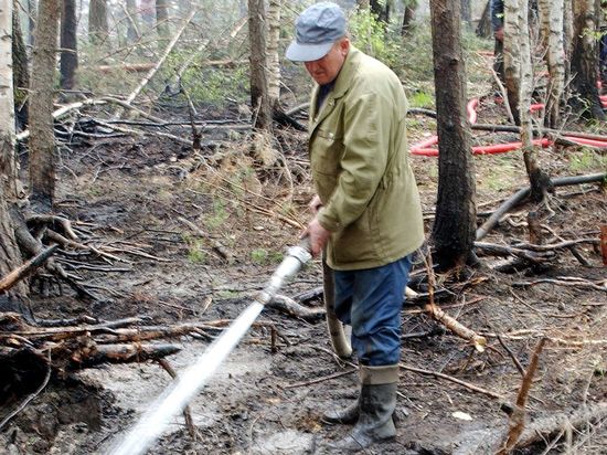 �������������� ��������� ������ ������������ �� �����������