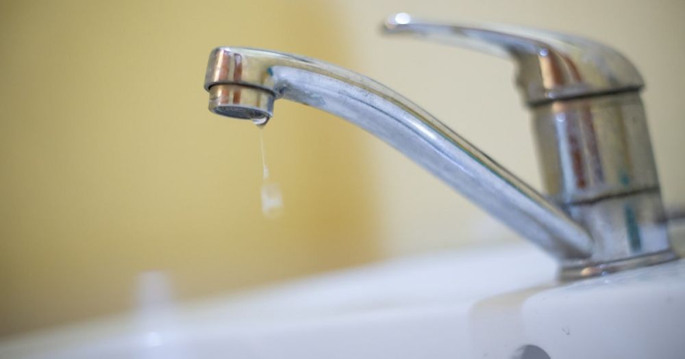 ������������� ����� ������������ ������ ������������ �� ������ �������� ���