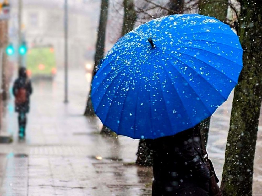 ��������� ������������ 14 ������ ��������� ������