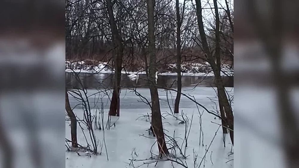 ��������� � ������� ��������� ��������� �������� ���������� ������� ������, ����������� �� ���� � ���� �����, �������� � ��� ����������