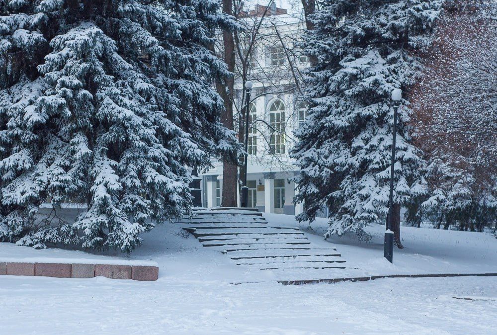 ��������� ���� ��������� ������� � ��������