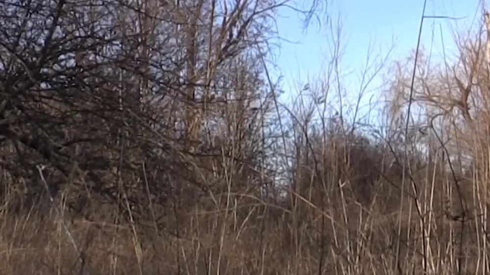 � ��� ���������� ����� � ������� ������� ��� � ��� ����� �������� ��� �������