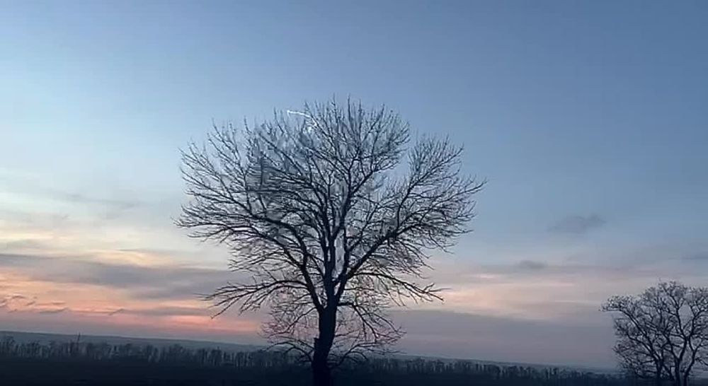 � ��������� ������� (����� � ������� � ����������) �� ����� ������ ����� ���������� ���