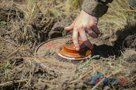 Саперы с начала СВО обезвредили на территории ЛНР 74 364 взрывоопасных предмета - МЧС