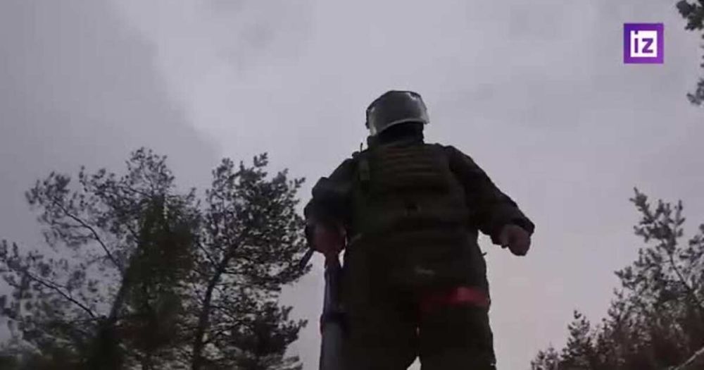 ������� �������� ����������� �������� �������� ������� � ���� ���