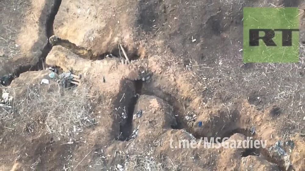 ������� ��������: ����� ��� ������ ���� �� ��������