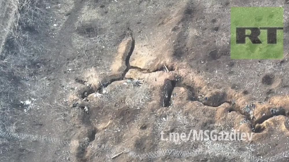 ������ ����������: ������� ���, ���� ���������� � ������ ������������, �������� 2-� ��������� ������ ��������, ����� �������� @msgazdiev