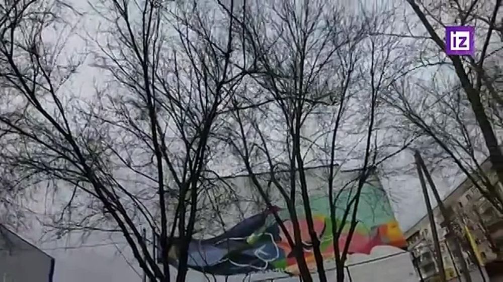 ��� ������� �� ����� � ������ ��������� � ���, ��� ��������� ������������ ������