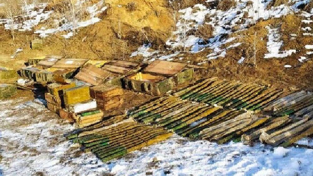 � ��� ���������� ������ � ����������� ������� ��� �����������