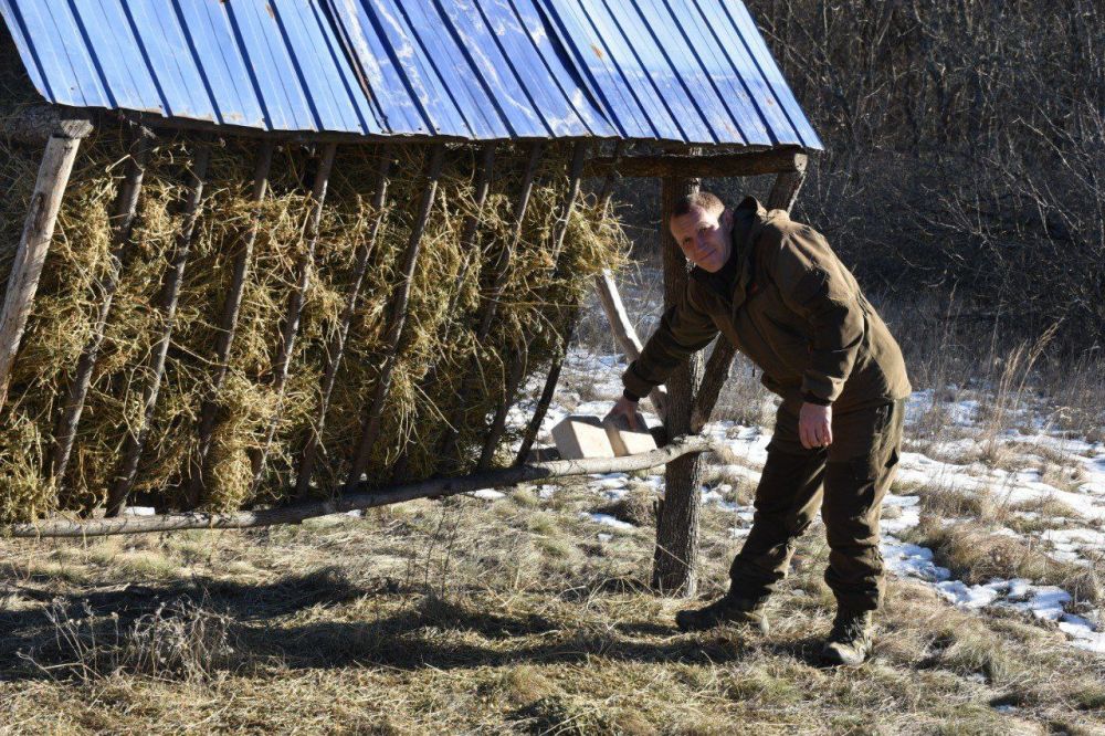 ��������� ������������� ��������������� ��������� � ������ ������ ��������� �������� ��������� ����� �������� � ����: �������, ������, ������ � �������, �������� � ���������� ���