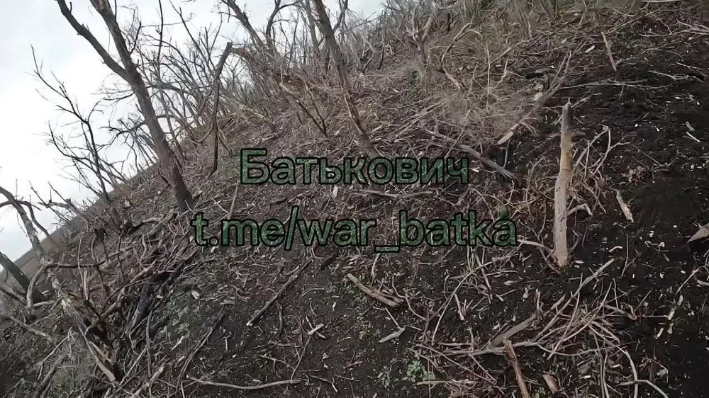 ����� ��� �� ������� ���� � �������� ������ ���