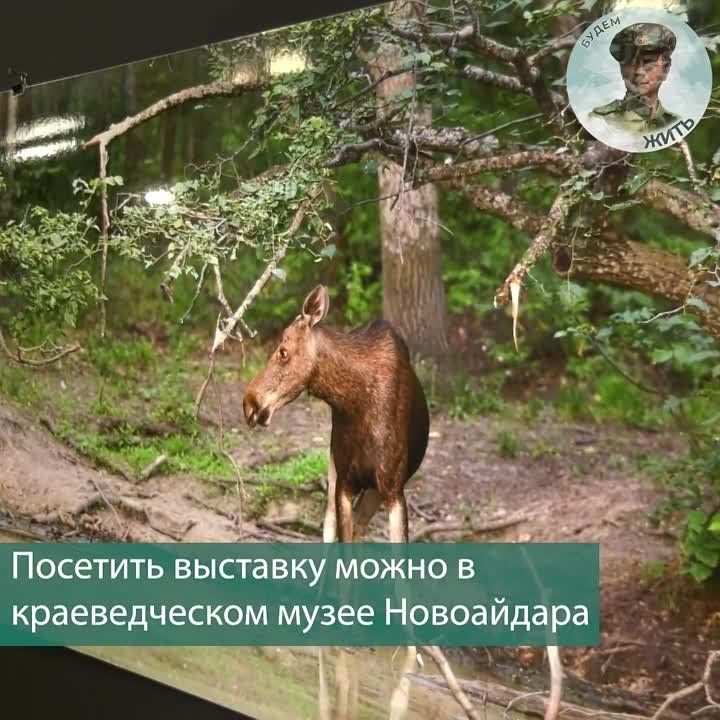 ��� ��������� ��������� �� � ���������� ��������� �������� � ������ ������� ����� ��������