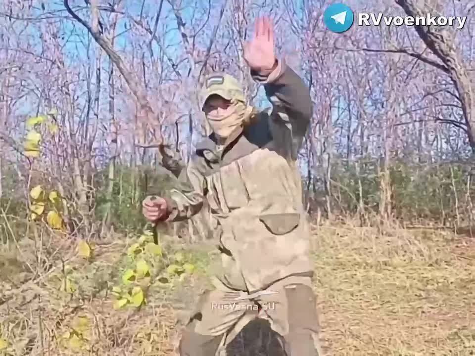 �������� ������ ���� �� ������������ �������� � ������