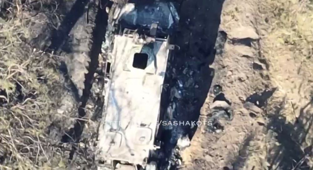 ������������ � ��������� ������� ��������������� Bushmaster PMV ���