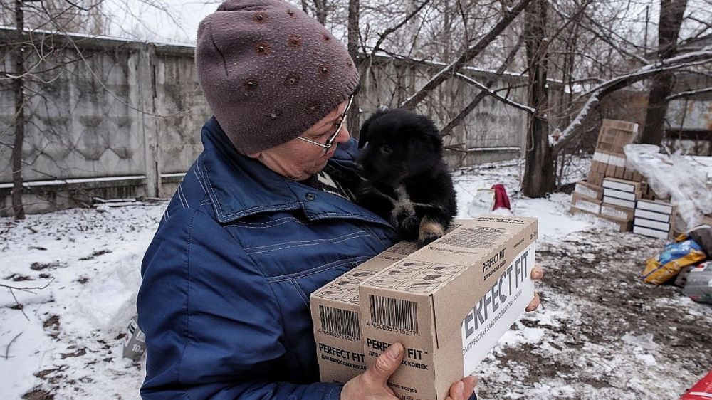 � ������� ������� ��������