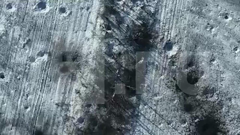 �� �������������� IZ.RU ������ ��������� ������ ������ ���������� ������ �� ������� ����������