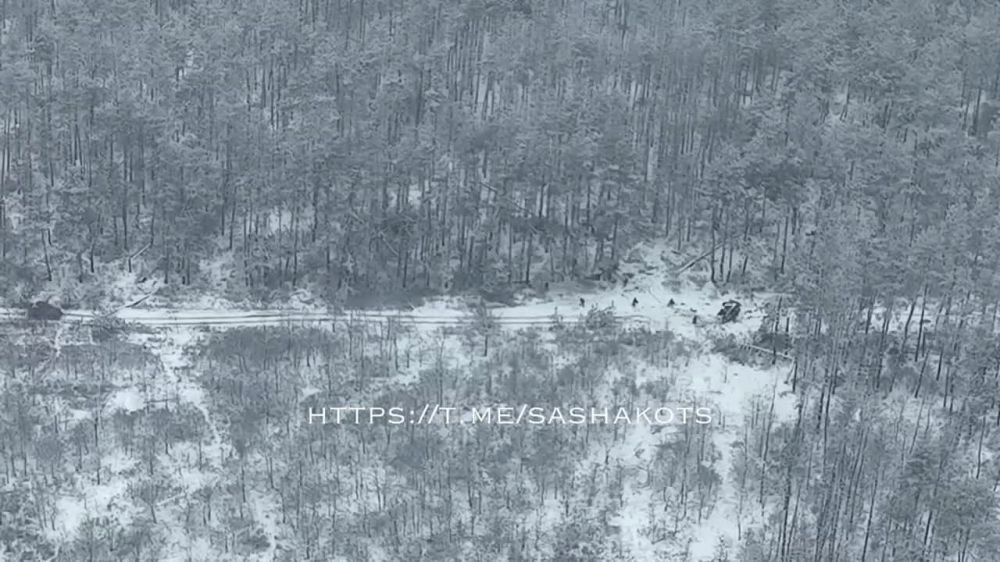 ��������, ������, �������