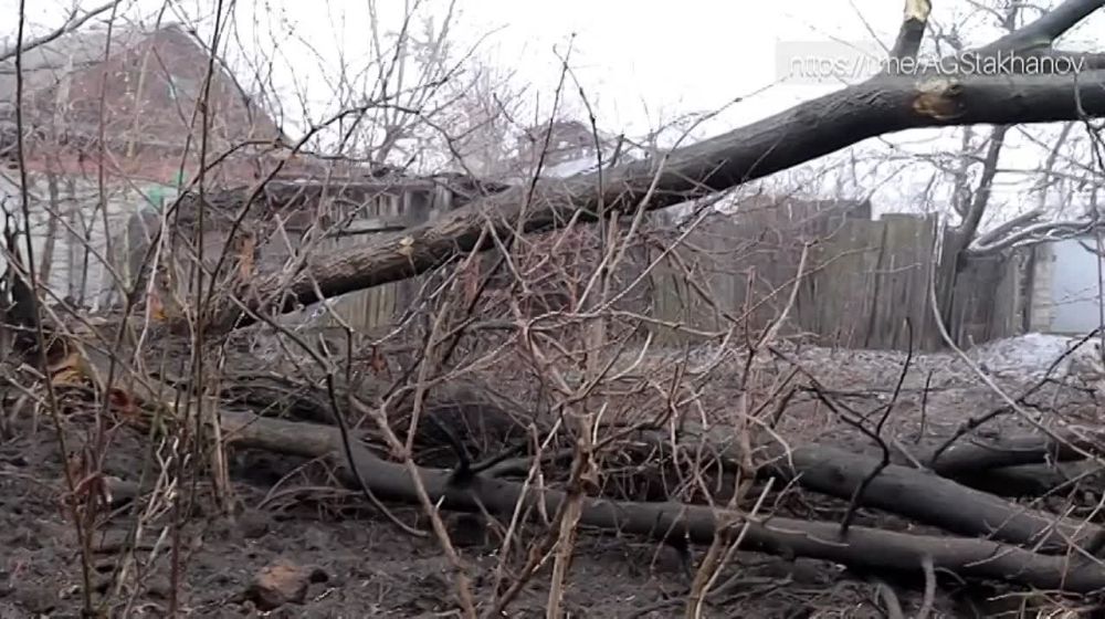 ��� ����� � ������������� �������� ���������