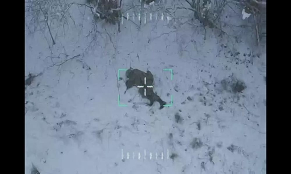 ��� ���� ������ ��������� ���� ������ ������