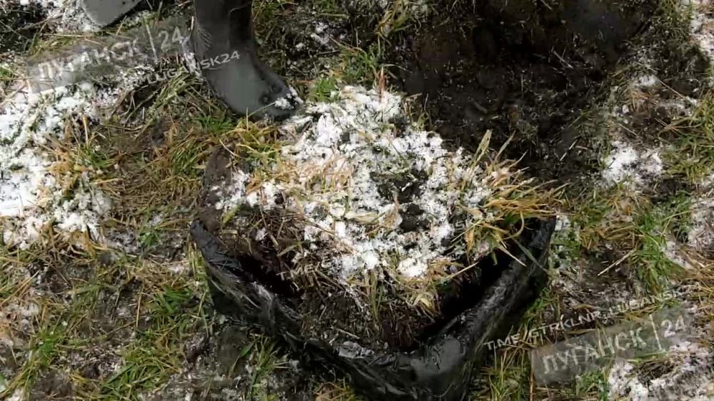 ������� ��������� �������� ���������� ������� ������� ���������� ������� 210 ����� �������� ����� � ������ ����� ���������� ���������� �� ���������� ������� ������