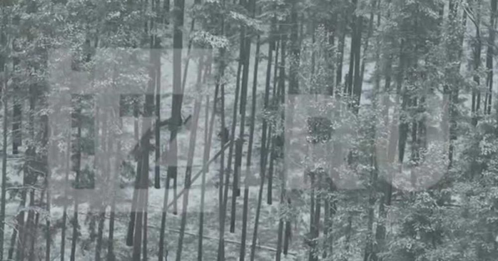 ������� "��������" ������� ����� ����������� ������� ��� ��� ���������