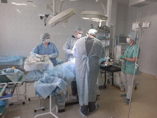 ����� 12 ���. ������� � 2022 ��� ������ ������� � ��������� ��������������� ����������� �������������� ����������