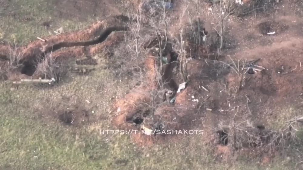 �������� ������������ �� �������� ���. ����������� �����������