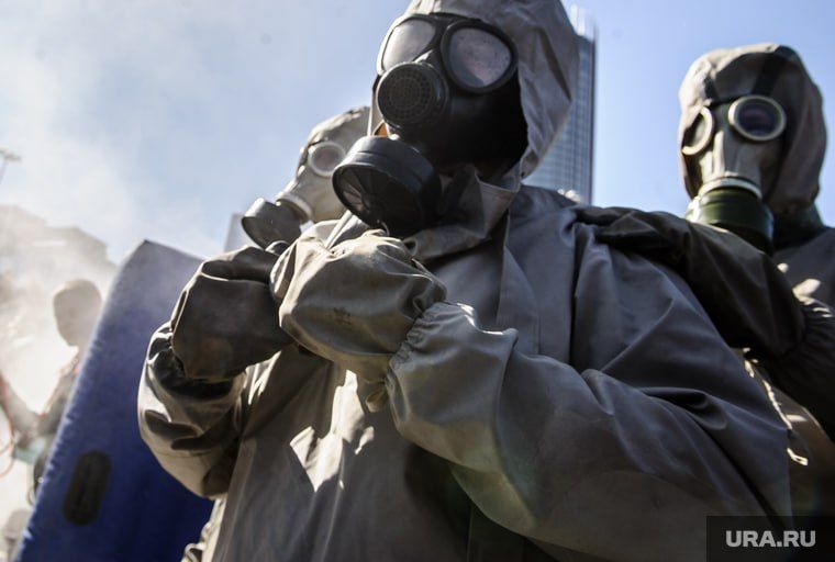 ���������� ������������ �������� ������� ��������� �� ���������� ����������