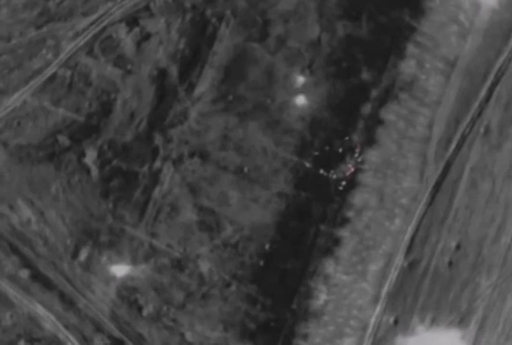 ���������� 254 ��� 144 ���, ���������� ������ 81 ������� ���. ����� �����, ����� �������-���������