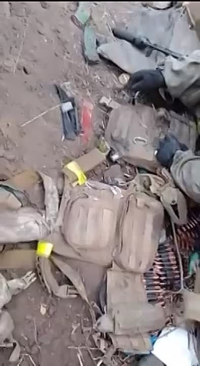 ���� ������� � ������������ ������� ��� � ���