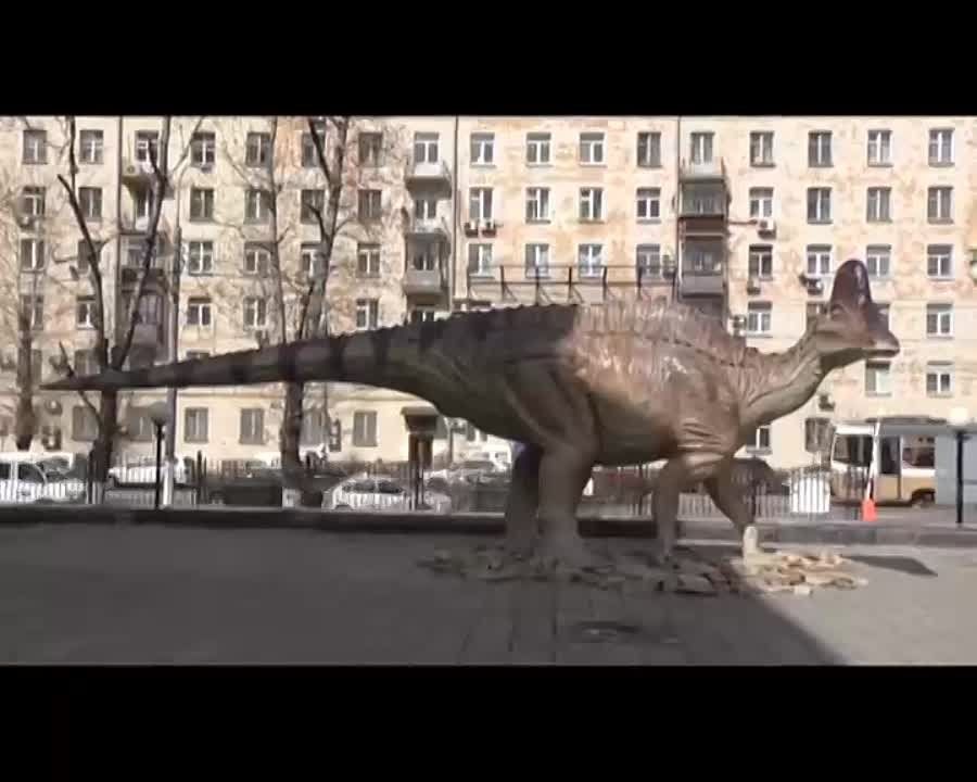 �� ������� ����������� ���������������� ������������� ����� �������� � ����� ������� ��������� ���� ������ �� ���������� �������� 24�