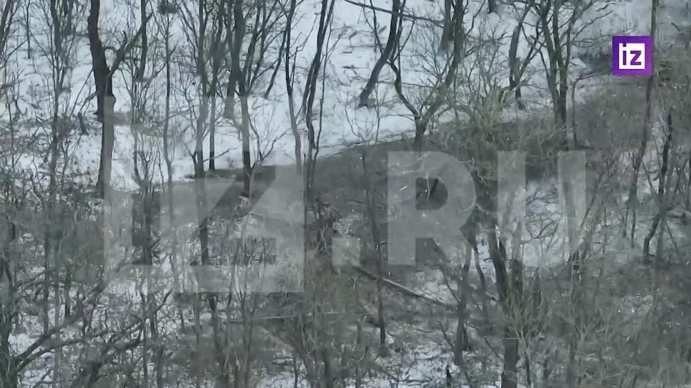 ���������� ������� ���������� ������� ������������ �� ��������� � ������ ���������