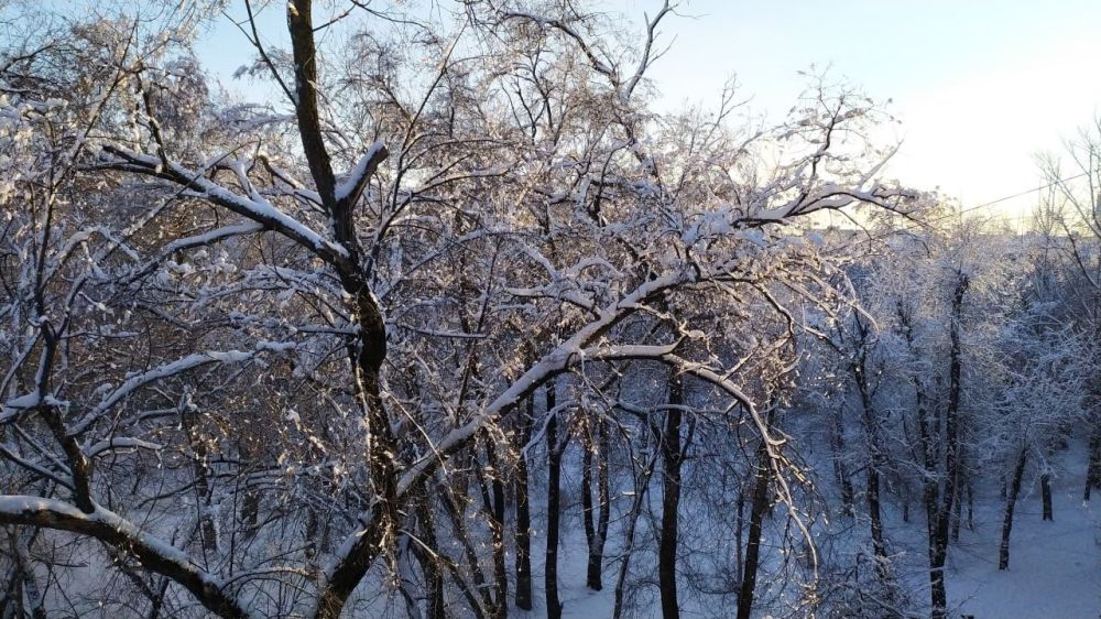 ����������� ������������ �� 8 �������� ������ ������ � ������