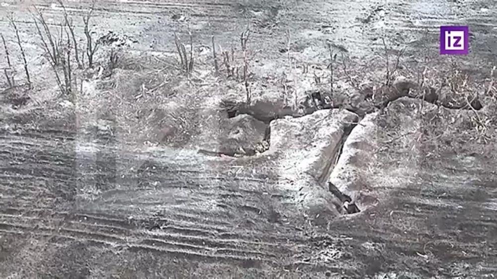 � ������ ���� �������, ������� ��������� � 12 �� �� ��������, ������������ ������� ���. ����� ���������� ���������� ������� ��������, �� ����� ������ ����� �� �����