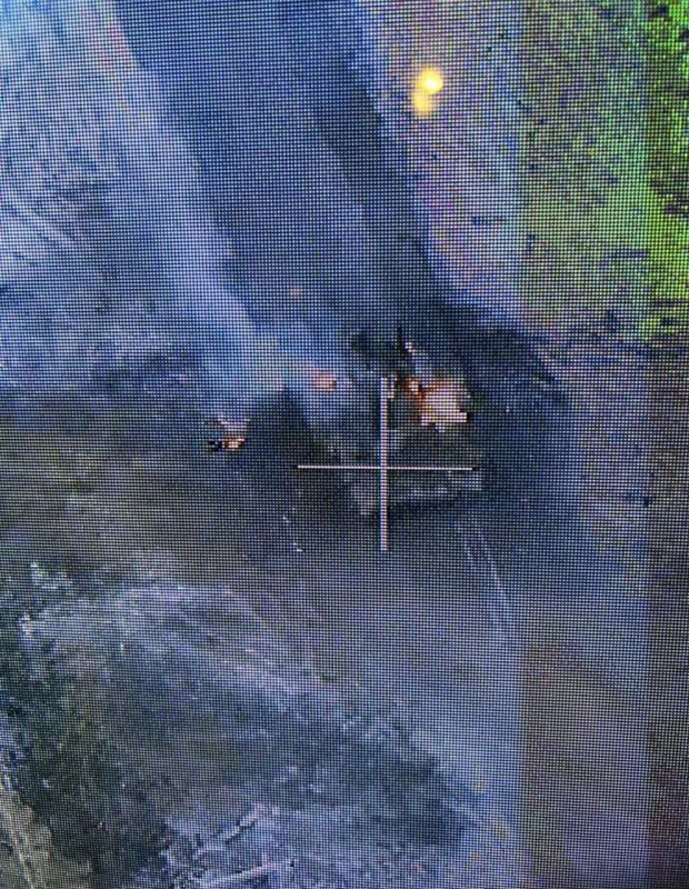 ������ ��������� �������������� ������ ������ ���� ����������� � ������ ���������