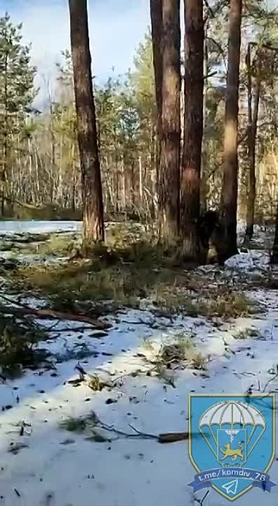 ���������� ��� ����������� "������ �������" ����� � ���� ��� ���������