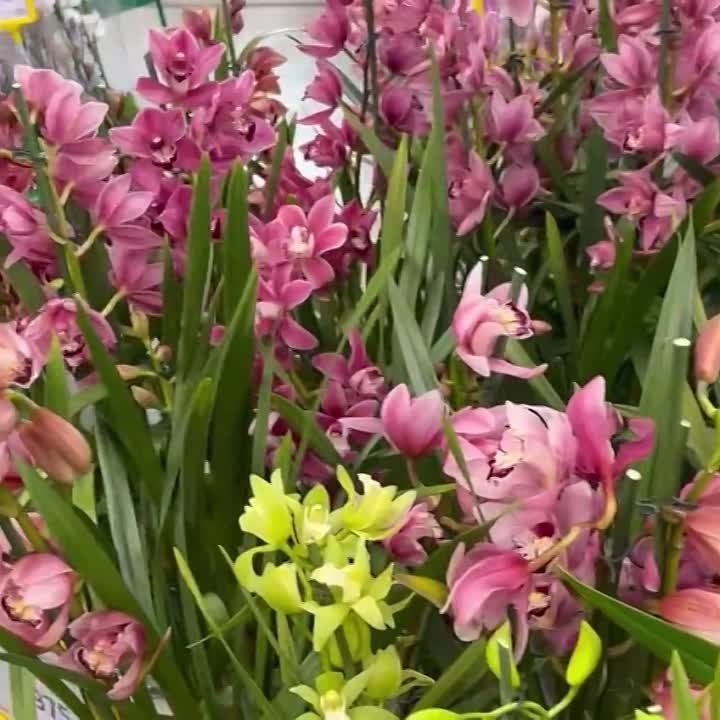 � ����������� ������� ����������� ��������� ��������!