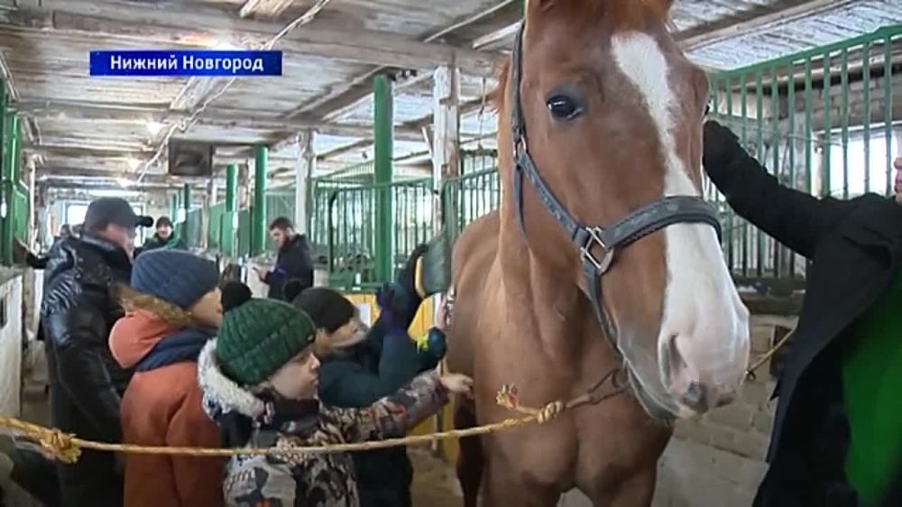 ������� ������: ��������� ����� �� ���� �� ��������