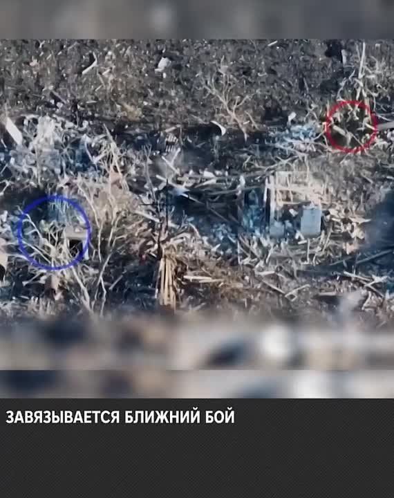 ������ ��������� ����� � ���� ���� �� �������������, ������������� �� ������ ������� - �������