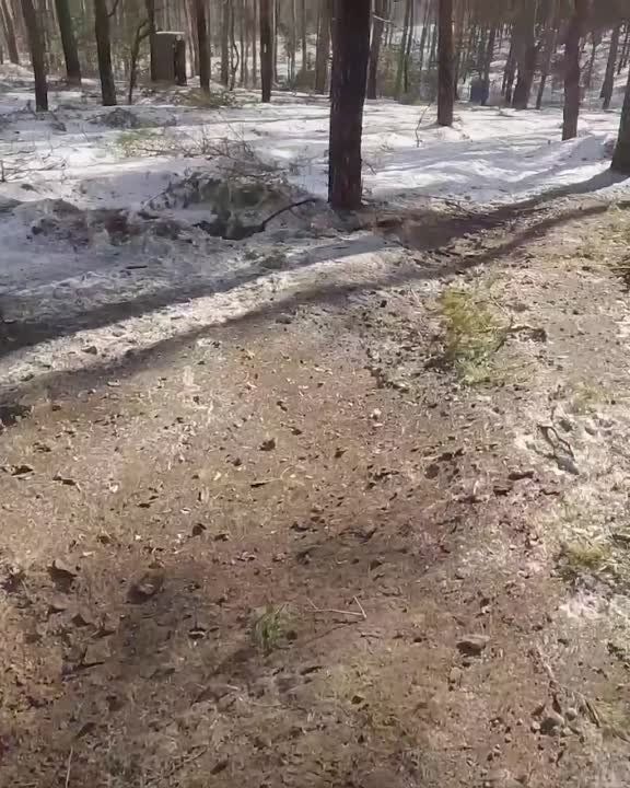 ���������� ���������� �����������: ��� �������� �������������� � ���