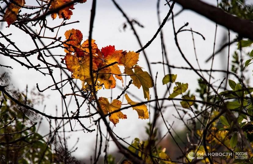 ������ �� ����� ����������� ������