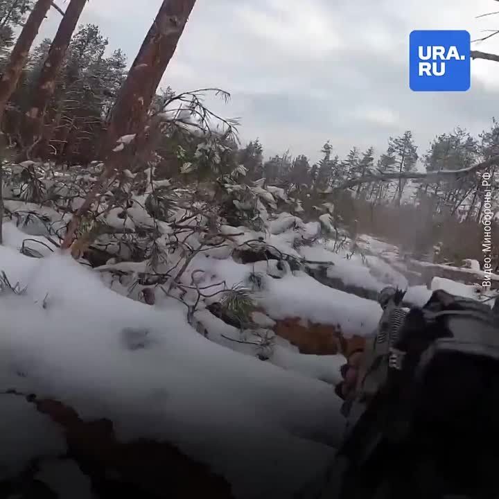 ���������� ������� �������� ������� ���������� �������� � ��������� �������, �������� ��� �� ��� ���������