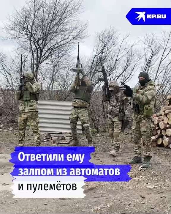 SHAMAN ���� ����� ������� ���