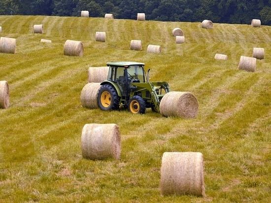 � �������� �������� ����������� ������������� ������� ������������ �� ������ � ����