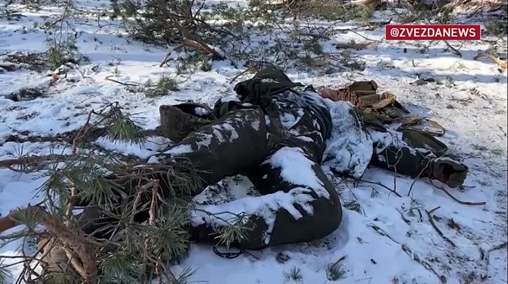 ������������ ����� ��������� � ������������ �������� ������ �������������