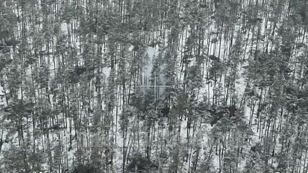 �������� ���� ������������ �������� ��������� ������ �� �� �� ������ �������� ������ ��� � ����� ���